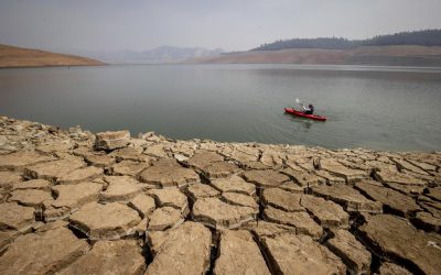 California backslides on water conservation amid drought