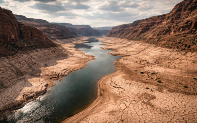 The West Is Running Out of Water. What Happens Next Will Affect Everyone.