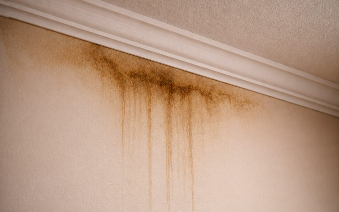 Water Damage Doesn’t Start Big. It Starts Quiet.