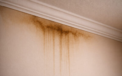 Water Damage Doesn’t Start Big. It Starts Quiet.