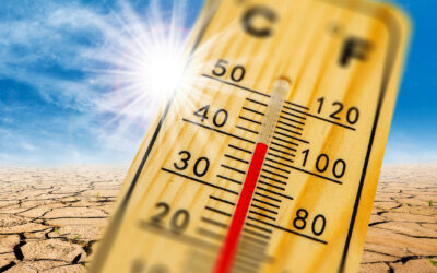 Why Rising Temperatures Make Water Conservation More Urgent Than Ever