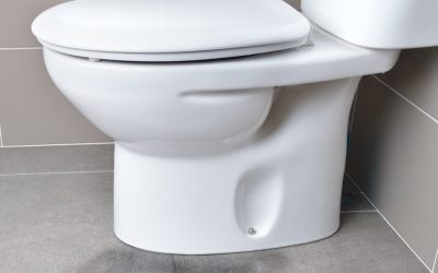 A Day in the Life of a Leak