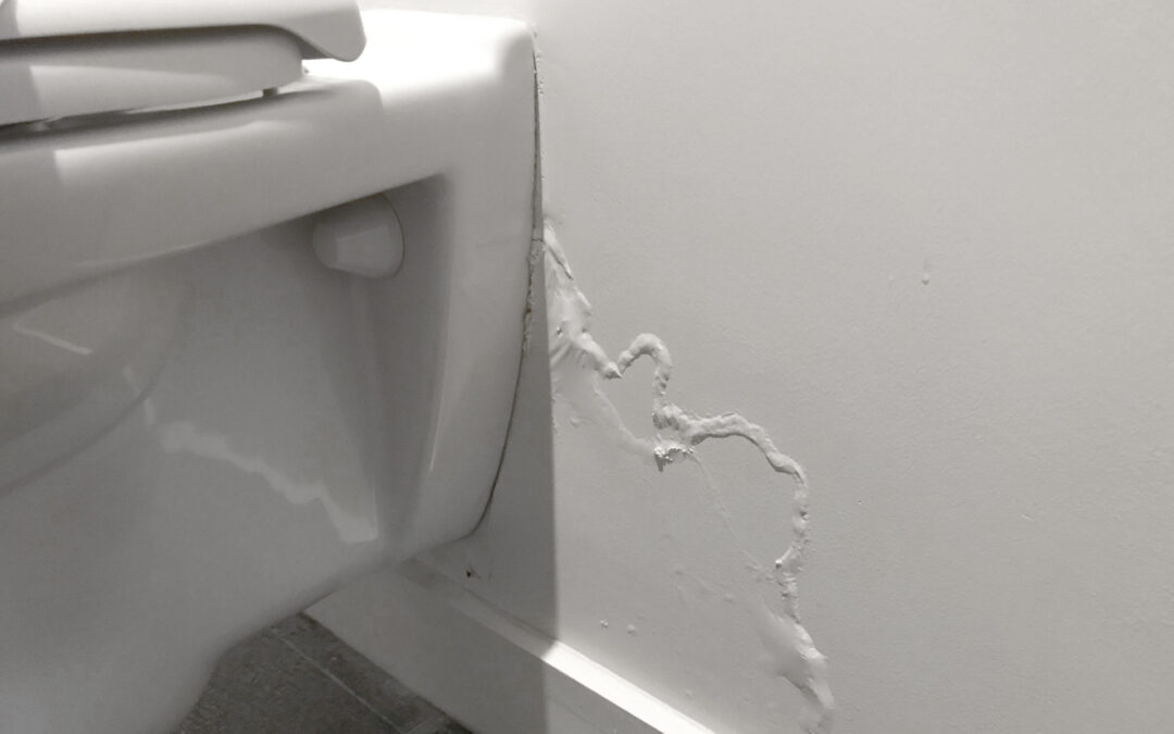 Leaky toilet into a wall