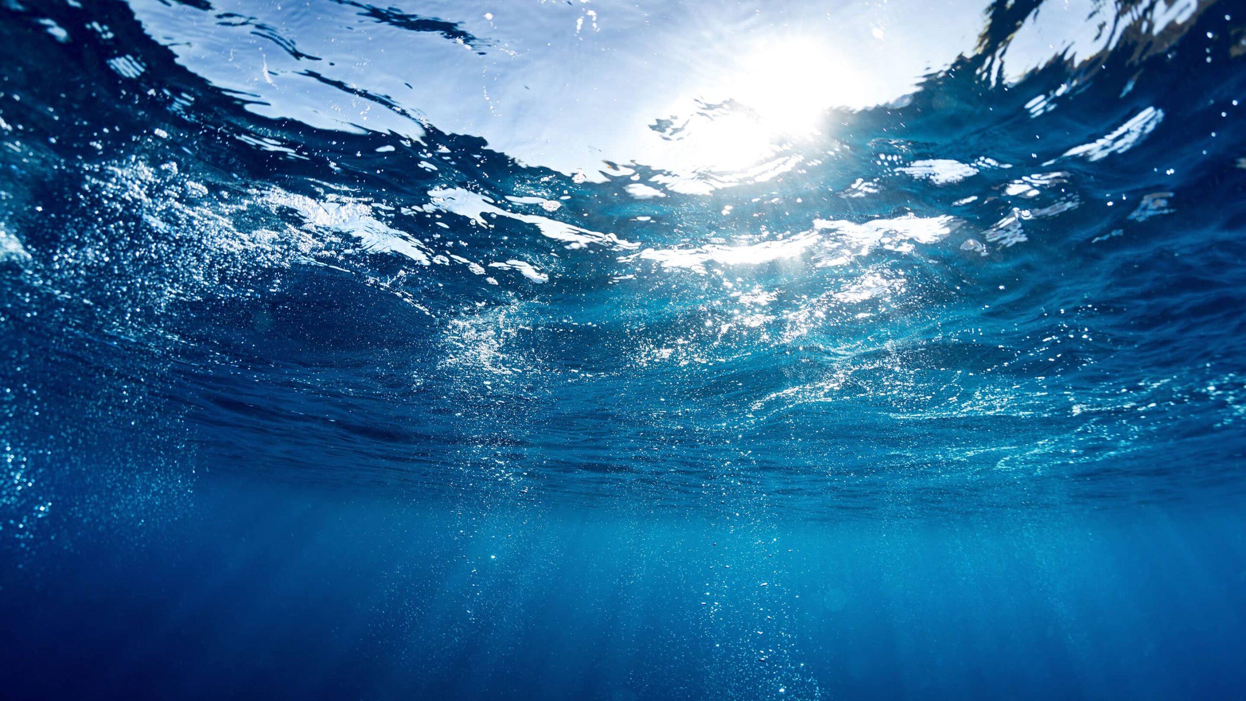 underwater POV